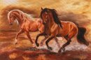 Horse Postcard Mestena