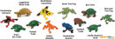 Safari Ltd. Toob® 694804 - Frogs & Turtles