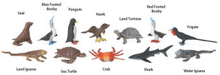 Safari Ltd. Toob® 681704 - Tierwelt der Galapagos Inseln