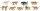 Safari Ltd. Toob® 694604 - Raubkatzen