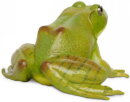Safari Ltd. 268729 - American Bullfrog