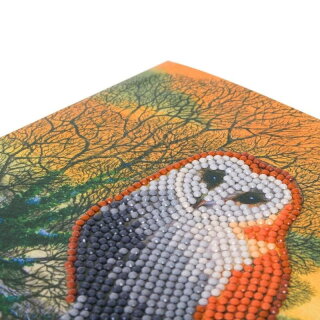 Craft Buddy CCK-XM60 - Crystal Card Kit Winter Owl