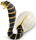Safari Ltd. Incredible Creatures® 258529 Schlüpfende Cobra