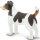 Safari Ltd. 254229 - Jack Russle Terrier