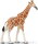 Safari Ltd. 268429 - Reticulated Giraffe