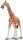 Safari Ltd. 268429 - Reticulated Giraffe