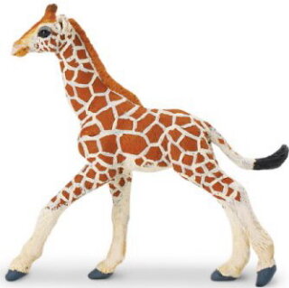 Safari Ltd 100422 Giraffenbaby 9 cm Serie Wildtiere Neuheit 2019 