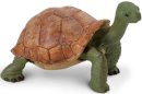 Safari Ltd. 272529 - Schildkröte