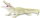 Safari Ltd. 291929 - White Alligator