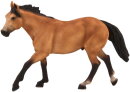 Mojö 387121 - Quarter Horse (Buckskin)