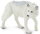Safari Ltd. 220029 - Weisser Wolf