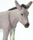 Safari Ltd. 249829 - Donkey