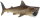 Safari Ltd. 223429 - Basking Shark
