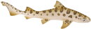 Safari Ltd. Wild Safari® Sealife 274929 - Leopardenhai