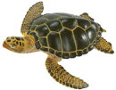 Safari Ltd. 274329 - Green Sea Turtle