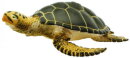 Safari Ltd. 274329 - Green Sea Turtle