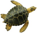 Safari Ltd. 274329 - Green Sea Turtle