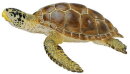 Safari Ltd. 220229 - Loggerhead Turtle