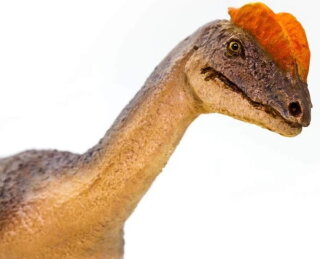 Safari Ltd. Wild Safari® Prehistoric World Dinosaurier 100508 - Dilophosaurus