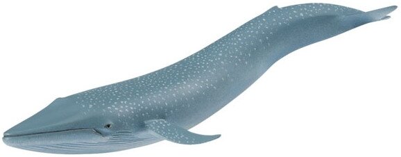 Blue Whale XL model ~ Safari Ltd # 223229 Wild Safari Sea Life collection 