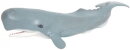 Safari Ltd. 275529 - Pottwal