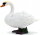 Mojö 387065 - Höckerschwan