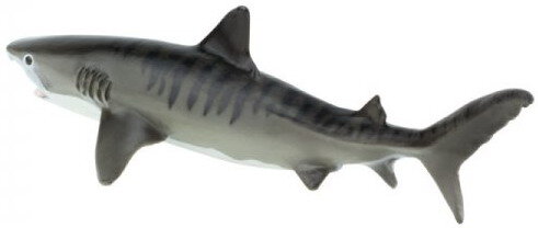 211702 for sale online Monterey Bay Tiger Shark by Safari Limited 