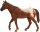 Mojö 387150 - Chestnut Appaloosa Hengst (alte version)