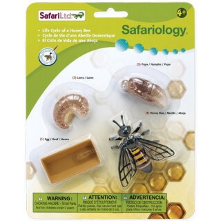 Safari Ltd. Safariology® 622716 - Lebenszyklus der Honigbiene