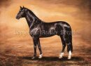 Kunstdruck His Highness