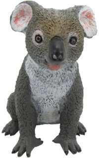 Animals of Australia 75452 - Koala
