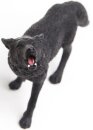 Safari Ltd. 181129 - Schwarzer Wolf
