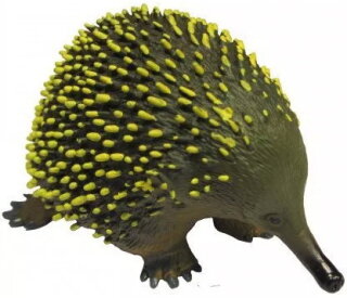 Animals of Australia 75456 - Echidna (Ameisenigel)