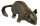 Animals of Australia 75457 - Leadbeater`s possum