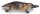 Animals of Australia 75483 - Schnabeltier (klein)