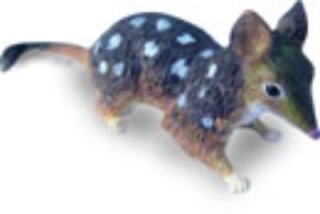 Animals of Australia 75381 - Quoll (small)