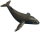 Animals of Australia 75385 - Humpback Whale