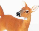 Safari Ltd. 180129 - Weißwedelhirschkuh