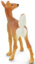 Safari Ltd. 180129 - Weißwedelhirschkuh