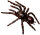 Animals of Australia 78082 - Sydney Funnel Web Spider