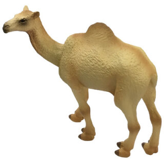Animals of Australia 75906 - Camel
