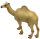 Animals of Australia 75906 - Camel