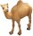 Animals of Australia 75906 - Camel