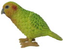 Animals of Australia 75343 - Kakapo