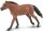 Safari Ltd. 157705 - Thoroughbred Stallion