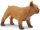 Safari Ltd. 254429 - Französische Bulldogge