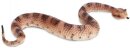 Safari Ltd. Incredible Creatures® 261629 - Sidewinder...