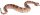 Safari Ltd. Incredible Creatures® 261629 - Sidewinder Rattlesnake