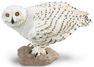 Safari Ltd. 264729 - Schneeeule