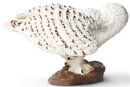Safari Ltd. 264729 - Schneeeule